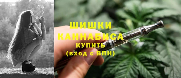 СК Саяногорск
