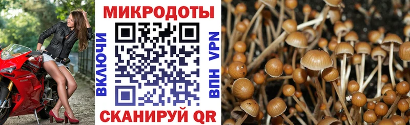 Псилоцибиновые грибы мухоморы  МЕГА зеркало  Заречный 