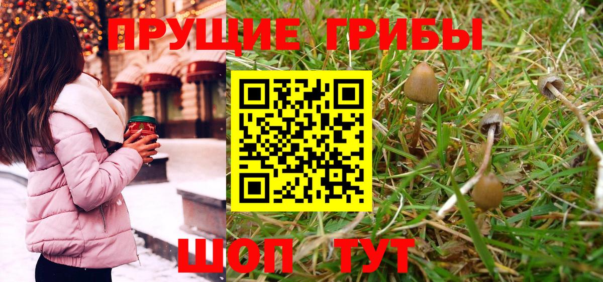 Галлюциногенные грибы GOLDEN TEACHER  Псилоцибиновые грибы MAGIC MUSHROOMS  Заречный  Вход с VPN 